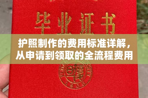 当阳护照制作的费用标准详解，从申请到领取的全流程费用指南