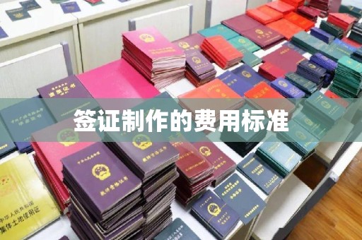 当阳签证制作的费用标准