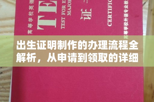 当阳出生证明制作的办理流程全解析，从申请到领取的详细指南