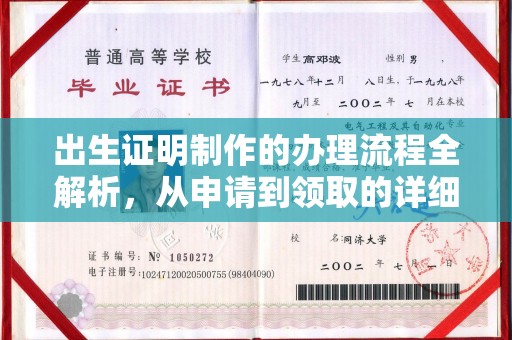 当阳出生证明制作的办理流程全解析，从申请到领取的详细指南