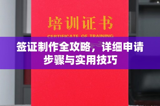 当阳签证制作全攻略，详细申请步骤与实用技巧