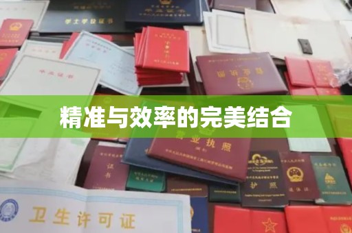 当阳精准与效率的完美结合